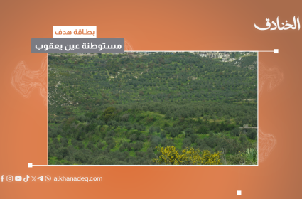 بطاقة هدف: مستوطنة عين يعقوب