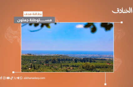 بطاقة هدف: مستوطنة جعتون